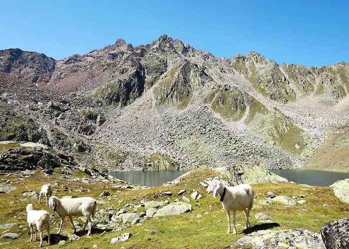 Apartment Apartment Moosalm By Interhome *