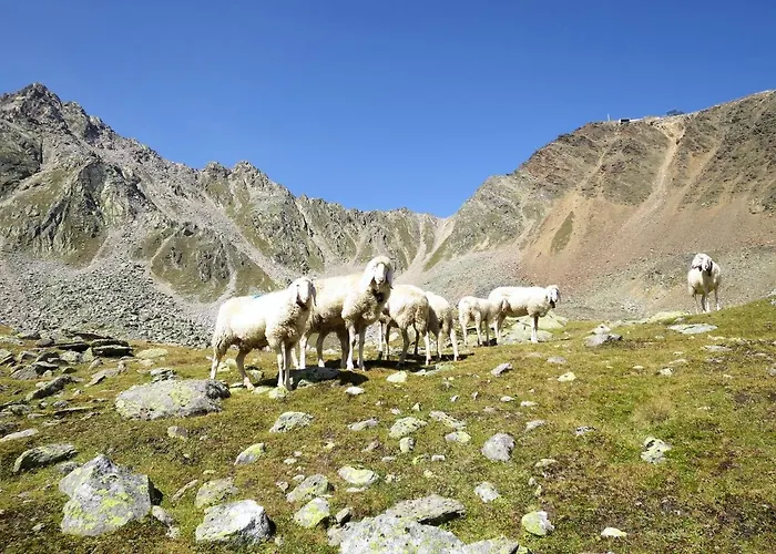 Apartment Moosalm By Interhome *