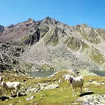 Appartamento Moosalm By Interhome *