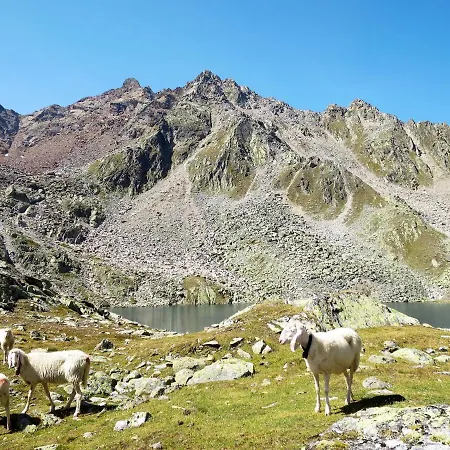 Apartment Apartment Moosalm By Interhome *